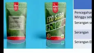 part 3... ECO Sida ... pembasmi hama tanaman serba guna.. 👍👍