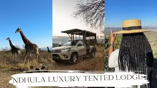Vlog | Game Drive | Safari | Exploring Likweti Bushveld Farm Estate | Dinner | #vlog #Safari #travel