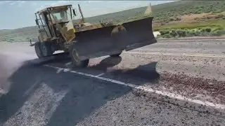 Mormon crickets swarm roads south of Mountain Home