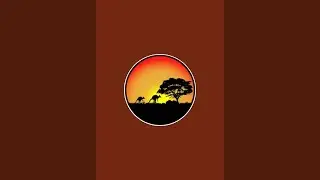 #112live Running Creek Sounds | Ambient Sound for Sleep, Study or Meditation