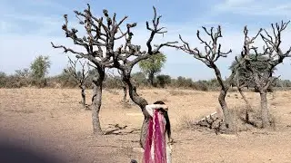 Bach gye aaj to kaand ho jata 🥹 but hmne kr dikhya  #monikabhati  #monikakeatpatechatpatevlog 