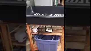 DIY Ebb and Flow Hydroponics Cheap & Easy