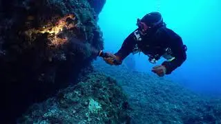 OrcaTorch D850 Dive Light , Croatia 2020