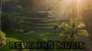 Relaxing,Calm Flute/Suling Sundanese West Java Music | Amazing Indonesia Nature