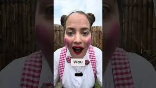 PACI PAC - Brejky / RAJO
