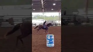 ‼️🔥😍 #barrelracing #horse #nbha #barrelhorse #quarterhorse #rodeo #edit #huckleberry #bresablair