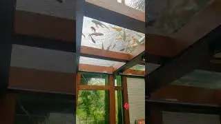Room with a View: A Unique Space Built Inside a Koi Pond! 🐠💦