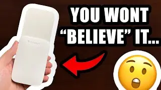 The ONLY Thing To Know About The Mosalogic Fly Insect Trap (Real Results)