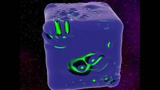 Another Reaction-Diffusion Simulation