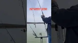 Percy Priest Lake - Hybrid Fishing - #percypriestlake #stripedbass #umbrellarig