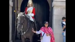 Shocking Moment King's Guard Horse Bites Tourist After She Touches the Animal