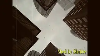 SHED ⛩ | Shebbe | #001