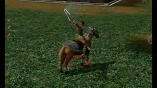 Metin2 Kampfgaul