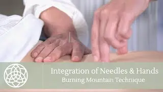 How to Integrate Tui Na and Needling | Mini-lesson with Sarah Pritchard