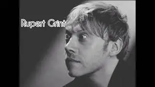 Meet The Harry Potter Cast//No Roots
