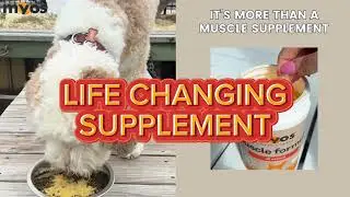 Stop letting age determine your dog's health. #dogs