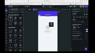 FlutterFlow passing information from one page to another