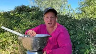 U pick blackberries
