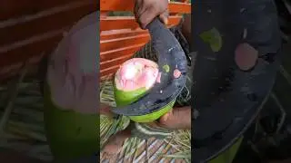 Rose colour coconut#shorts#youtube#shortsvideo#amazing#trending#video#coconut#food#youtubeshorts