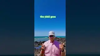 🌺🌊How Mortgage Rates Ride the 10-Year Treasury Wave 🌊 | Herb of Hawaii Mortgages🌋