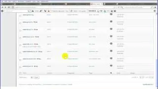 wordpress Bulk Edit and add category