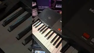 MK208 Teclado 61 Teclas Sensitivo sku:67175 consultas al w-app 9-11-5257-0001 #famusic