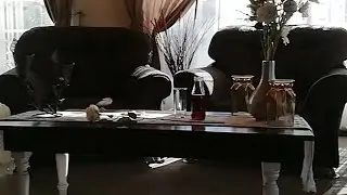 Daar is net een uitweg