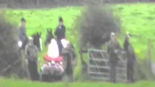 Terriermen try to capture a fox as the Pembrokeshire Hunt is passing
