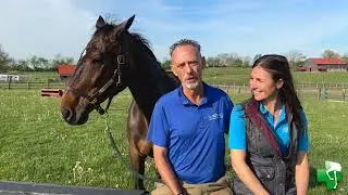Chris Newton Veterinarian and Competitor