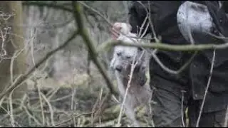 The Ledbury Hunt  23rd January 2015