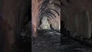 Mapperley tunnel, Nottingham         #explore #love #tunnel #dog #puppy #railway #train #nature