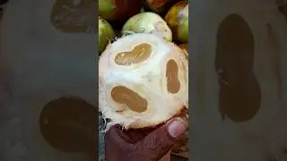 Unwrapping the Sweetness of Thaati Munjulu | Street Food Vlog #trending #viralvedio #munjul #ytshort