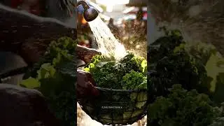 Spraying Fresh Vegetables &mdash; Cool Mist Market Aesthetic