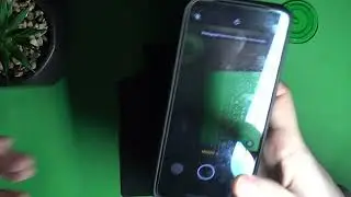 How to Take Macro Photos on a REALME GT2 - Macro Camera Mode