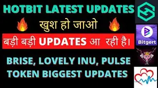 BITGIRT (BRISE), LOVELY INU, PULSE TOKEN & HOTBIT RECENT UPDATES || #cryptouk