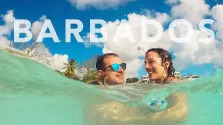 Palme in Valovi :: Barbados 2020