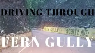 DRIVING THROUGH FERN GULLY  || ST. ANN  || JAMAICA