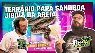 Montando TERRÁRIO de Kenian SAND BOA - convidado Zerba Terrários e Biólogo Tai - REPTAI HOME
