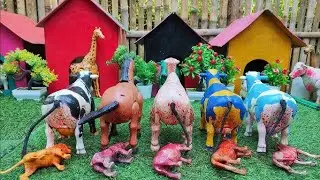 PROSES POTONG SAPI QURBAN !! SIMULASI POTONG SAPI COW MILK COW CARTOON