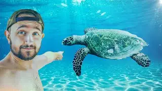 Searching For Sea Turtles In Costa Rica: We Rented A Boat!