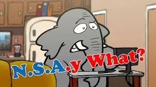 NSA what? You don't mind their spying?
