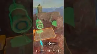 these lil pop the cork/chains w /corks korok seeds are fun!💙tears of the kingdom did great w koroks