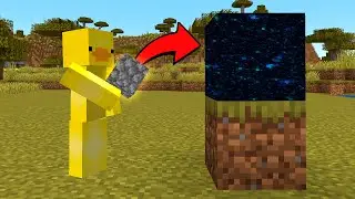 MINECRAFT pero CADA BLOQUE que COLOCO se vuelve ALEATORIO