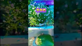 😄😂 #shorts #funny #youtubeshorts #fun #beautiful #video #subscribe #summer #short  #смех #шутки