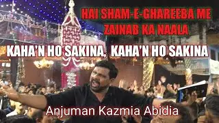 Hai Shaam-e-Ghareeba Me Zainab Ka naala Kaha'n Ho Sakina | कहाँ हो सकीना | Purdard Noha |