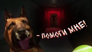 ИЩУ СВОЕГО ПЁСЕЛЯ ТОМИ В ВЕТКЛИНИКЕ | Инди хоррор с Итч: Canine