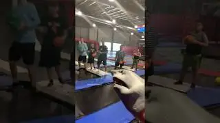 SHARK PUPPET PLAYS DODGEBALL!!!!!