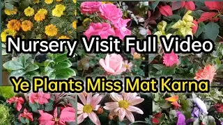 Nursery Visit | Saste Aur Healthy Plants Ki Full Tour 🌱 | Gardening Vlog