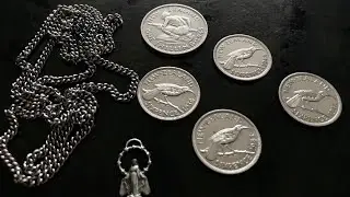Metal detecting NZ Silvers