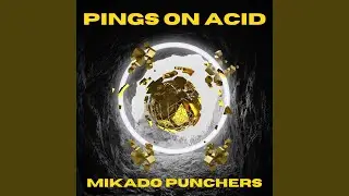 Pings on Acid - Tribe Fusion Jump Mix